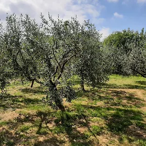 La Casetta Di Bianca Casa vacanze